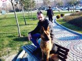 Alman Kurdu Yavruları Mama Ve Malzeme Kampanyali