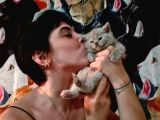 Bri̇ti̇sh Shorthai̇r Yavrularimiz Pet Pasaportlu
