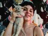 Show Kalitede British Shorthair Yavrularımız