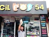 Blue Poınt Dişi 3 Aylık