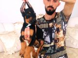 Doberman Yavrular
