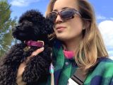 Sahi̇bi̇nden 5 Aylik Toypoodle