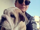Show Kalite İngiliz Bulldog Bebekler