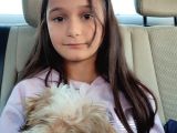Dişi Shih Tzu Yavrumuz