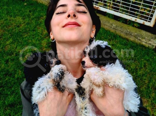 Si̇yah Beyaz Malti̇poo Yavrularimiz