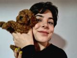 Kestane Gi̇bi̇ Renkleri̇yle Poodle Yavrularimiz