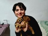 Red Ve Apri̇cot Toy Poodle Yavrularimiz