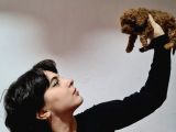 Renk Renk Poodle Yavrularimiz A Kali̇tede