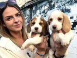 Elizabeth Beagle Dişi yavrularımız