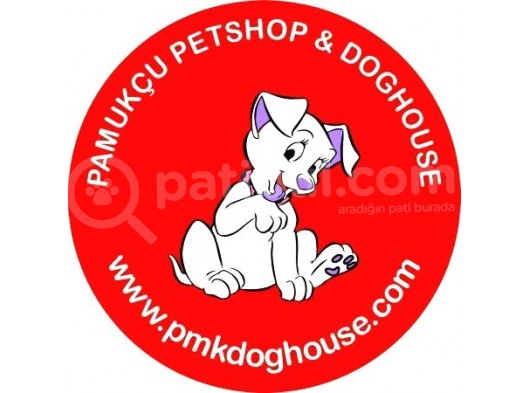 Cavali̇er Ki̇ng Charles Pamukçu Doghouseda
