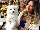 Samoyed Bebekler Kar Topu Irk Garanti̇li̇