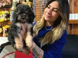 Silver Ve Black Tan Poodle Bebekleri̇mi̇z