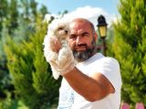 Irk Ve Sağlik Garanti̇si̇ İle Maltese Terri̇er Yavrular