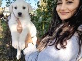 Akbaş Bebeğim ❤️