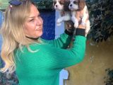Bebek Gibi Tatlı  Sevimli Cavalier King Charles Yavrularımız