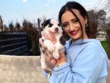 Husky Bebeğim