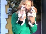 Bebek Gibi Tatlı  Sevimli Cavalier King Charles Yavrularımız