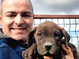 Muhteşem Cane Corsa  Yavrularımız Çiftliğimizden