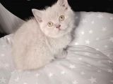 Mi̇nnaklar Sahi̇plendi̇ri̇meye Hazirdir