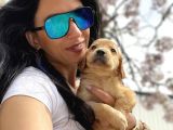 Golden Retriver Yavrularım Sağlık Ve Irk Garantilid