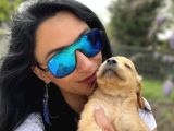 Golden Retriver Yavrularım Sağlık Ve Irk Garantilid