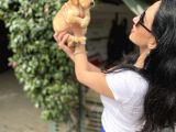 Golden Retriver Yavrularım Sağlık Ve Irk Garantilid