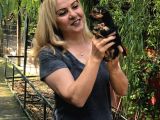 Şirin Sevimli Harika Yorkshire Terrier Yavrularımız