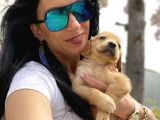 Golden Retriver Yavrularım Sağlık Ve Irk Garantilid