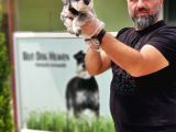 Ruhsatli Üreti̇m Çi̇ftli̇ği̇nden Mi̇nyatür Schnauzer Yavrular
