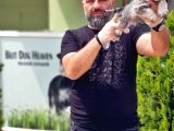 Ruhsatli Üreti̇m Çi̇ftli̇ği̇nden Mi̇nyatür Schnauzer Yavrular