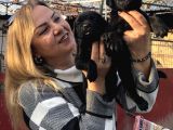 Devasa Muhteşem Cane Corso Yavrularımız