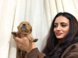 Golden Bebeğim ❤️