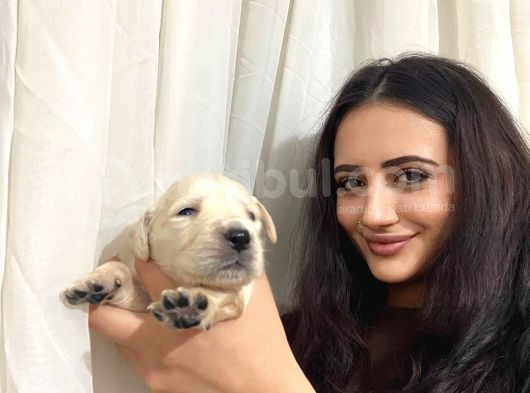 Golden Bebeğim ❤️ görsel