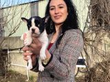 French buldog yavrularım sağlık ve ırk garantili