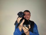 Siyah Renk Pug Mops Yavrumuz Dişi