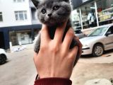Yavrumuz yeni yuvasına gitmeye hazir