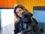 Kari̇zmati̇k Pug Mops