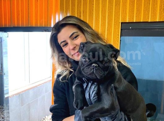 Kari̇zmati̇k Pug Mops görsel