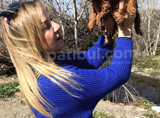 Irk Garantili Efsane Toy Poodle Yavrularımız görsel