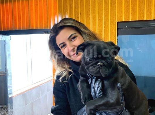 Si̇yah Asi̇l Kari̇zmati̇k Pug Bebekler görsel