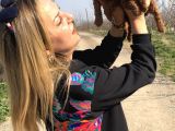 Irk Garantili Harika Toy Poodle Yavrularımız