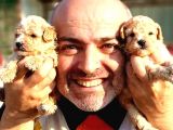 A Klas Maltipoo Yavrularımız Çiftliğimizden