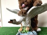 Toy Poodle Tüy Dökmez Orjinal Safkan Kahverengi Kaniş