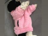 Evde Kendi Köpeklerimin Yavrusu