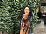 Doberman Yavrularım Sağlık Ve Irk Garantilid Ir