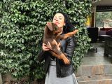 Doberman Yavrularım Sağlık Ve Irk Garantilid Ir