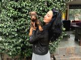 Doberman Yavrularım Sağlık Ve Irk Garantilid Ir