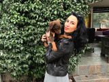 Doberman Yavrularım Sağlık Ve Irk Garantilid Ir