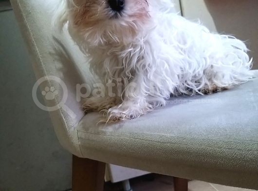 Bir Minimal Beybi görsel