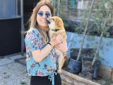 Shiba Inu Bebeklerimiz